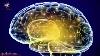 Activate Brain To 100 Potential Genius Brain Frequency Gamma Binaural Beats Gv165